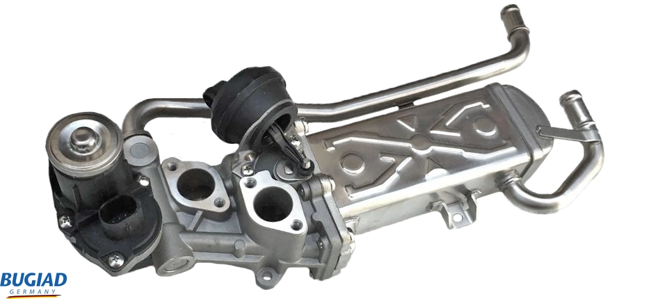 BSP25012