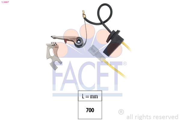 13667