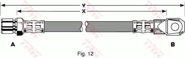 PHD313