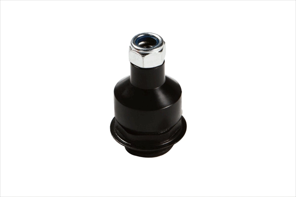 JBJ7658