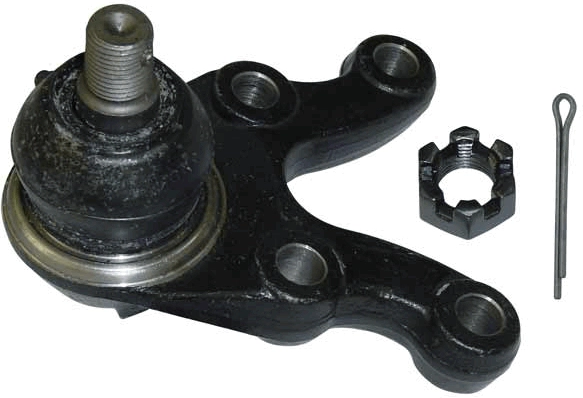 JBJ337