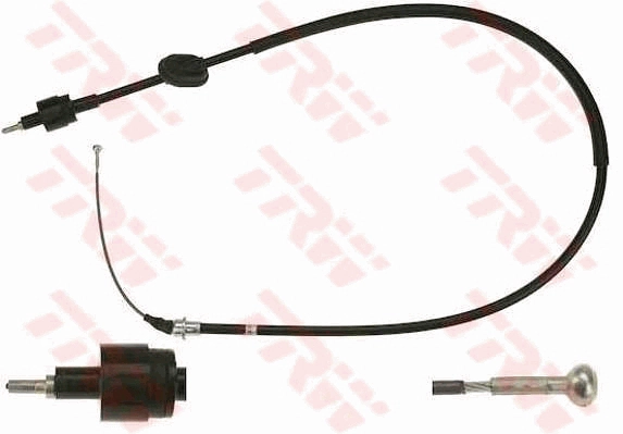 GCC1282