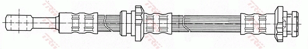 PHD444