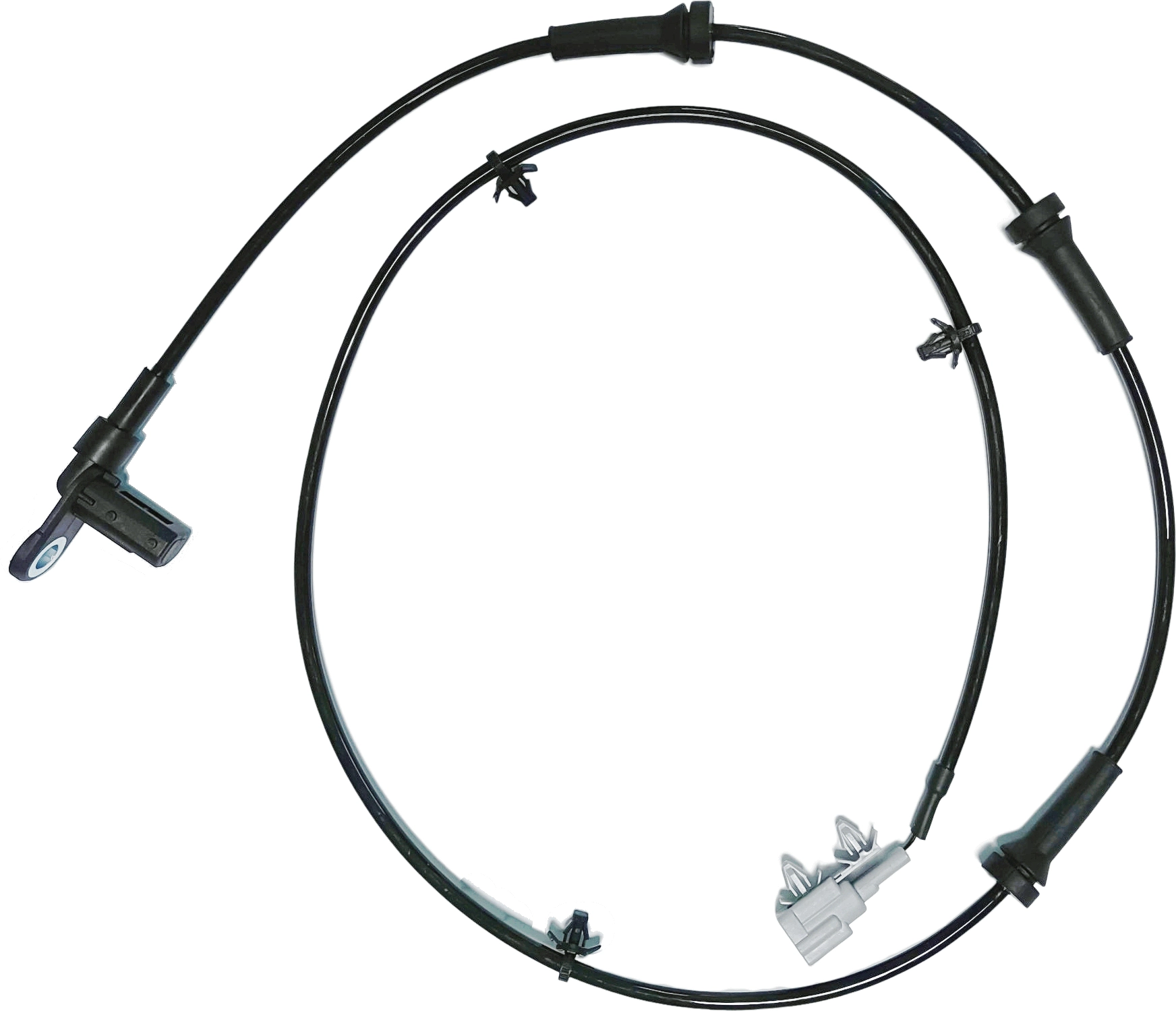 GBS7024