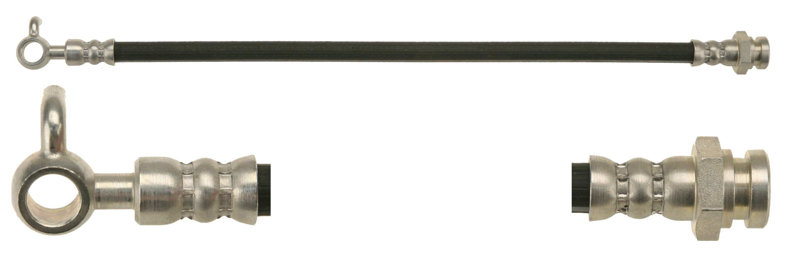 PHD646