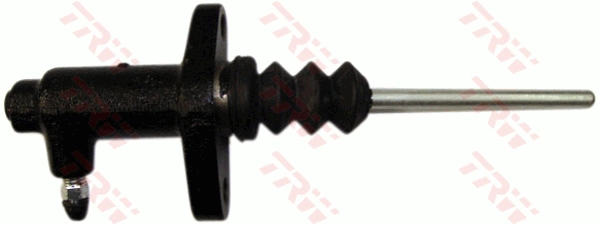 PJD719