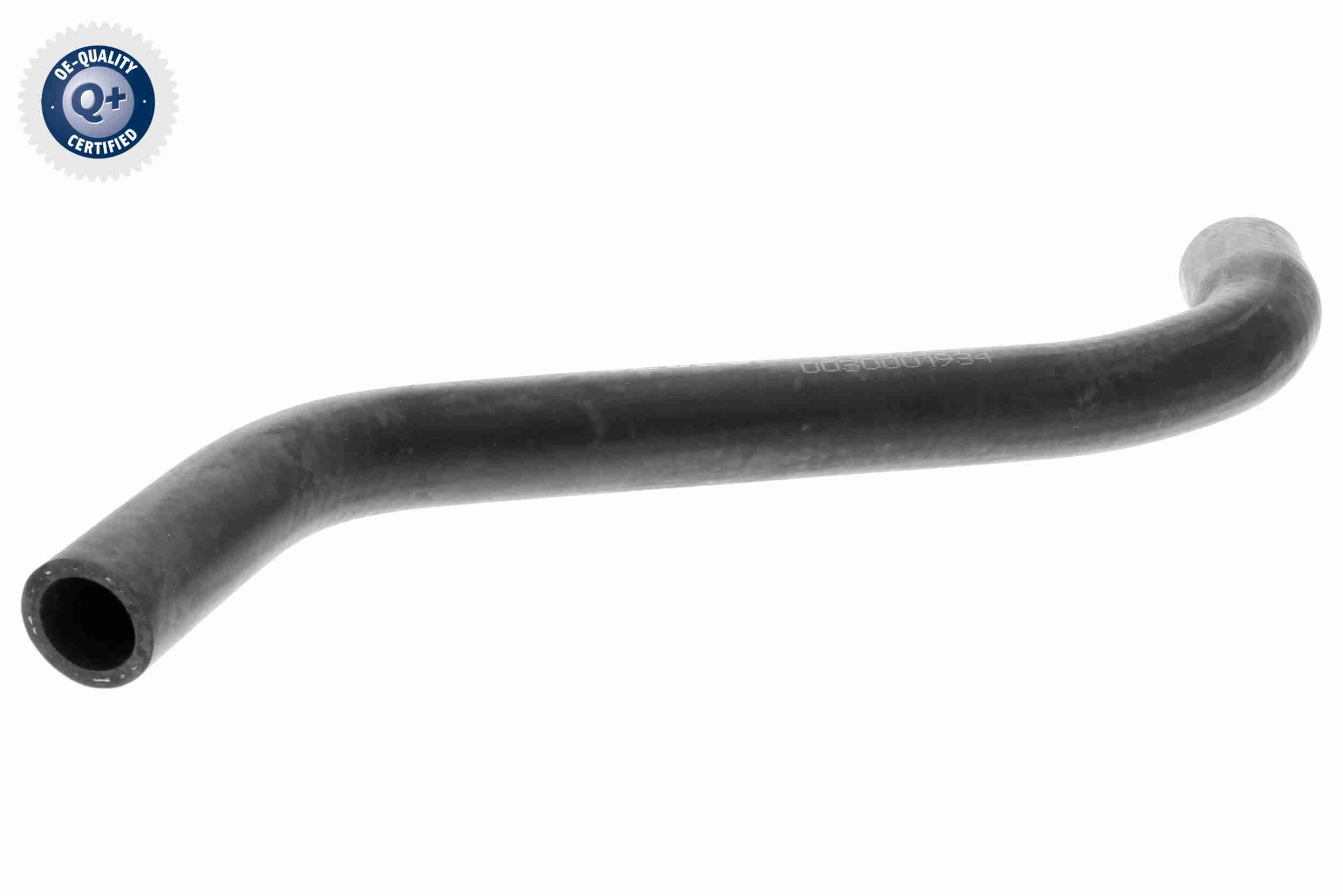 V10-0051