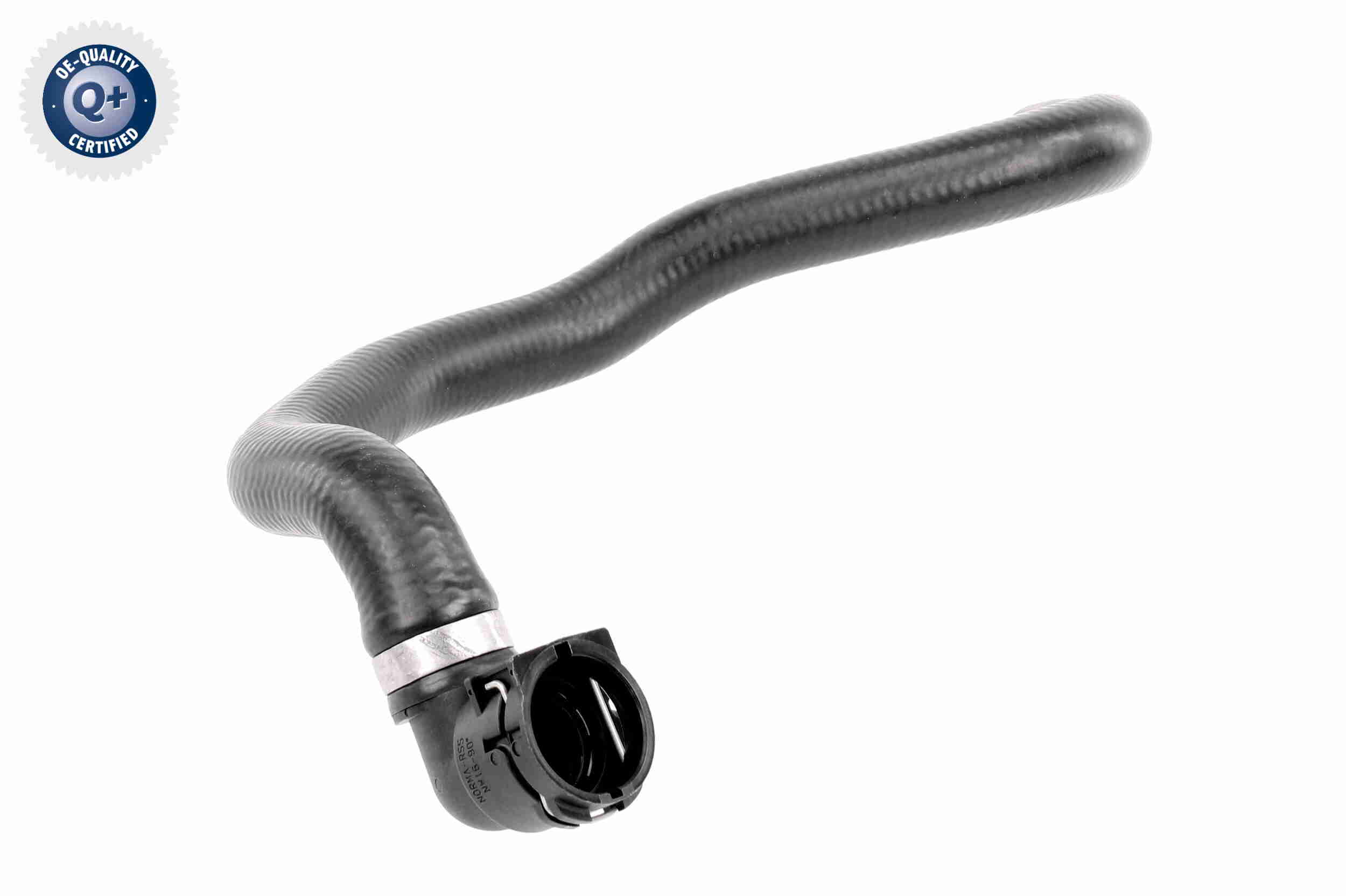 V10-2812