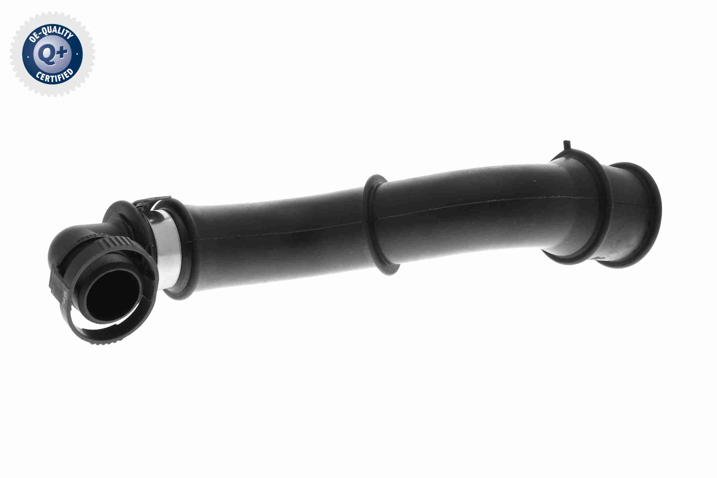 V25-1979