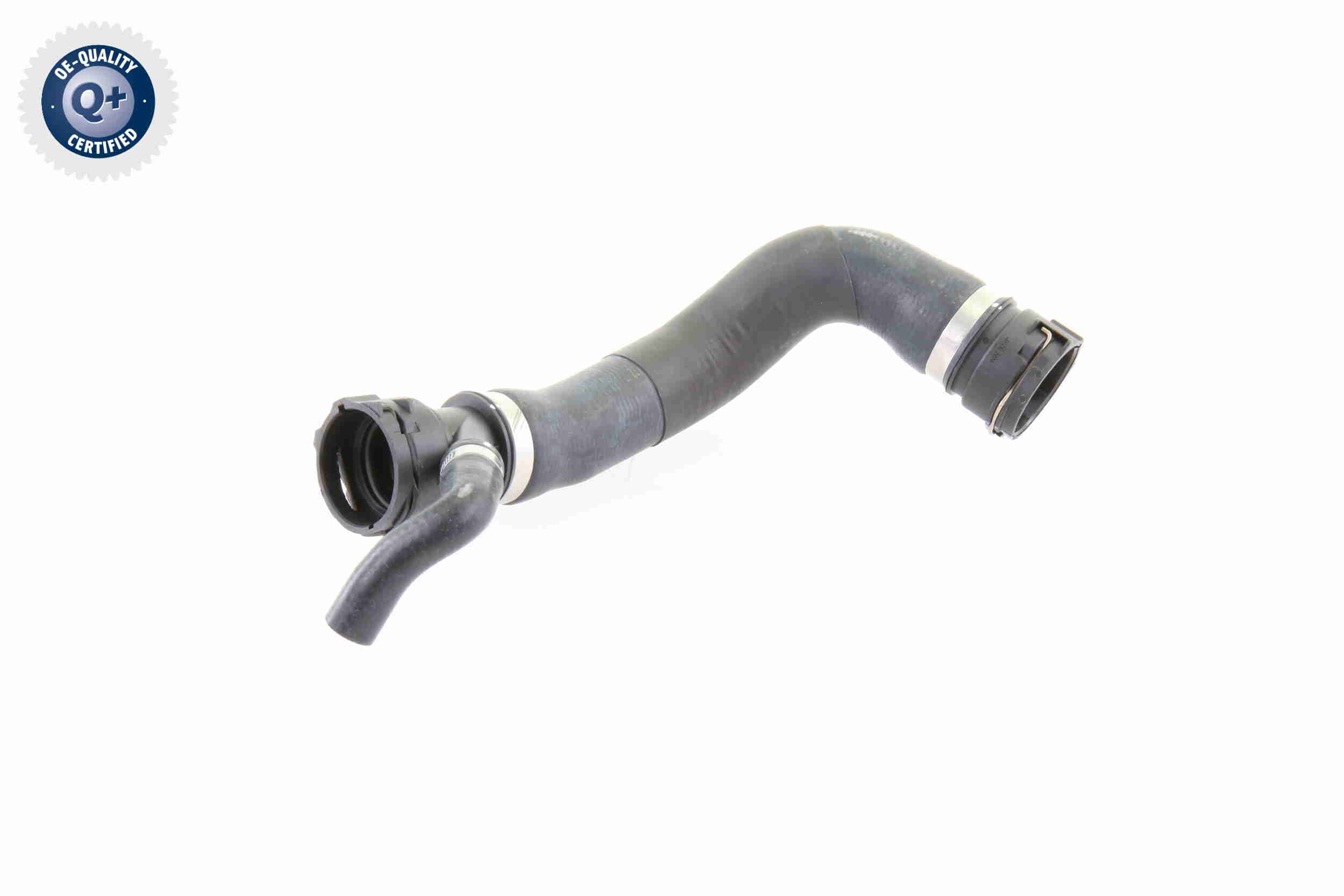 V20-1781
