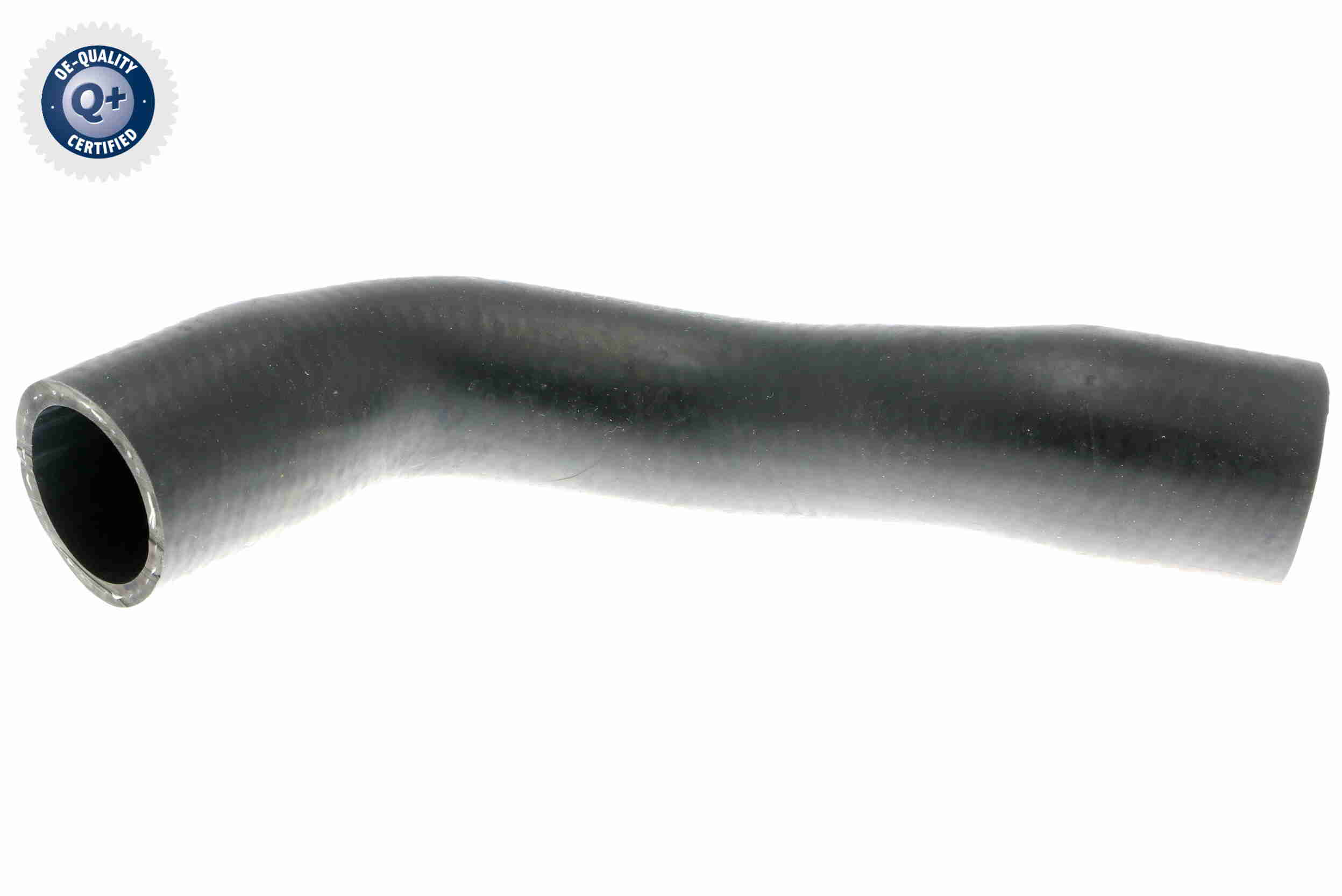 V10-4805