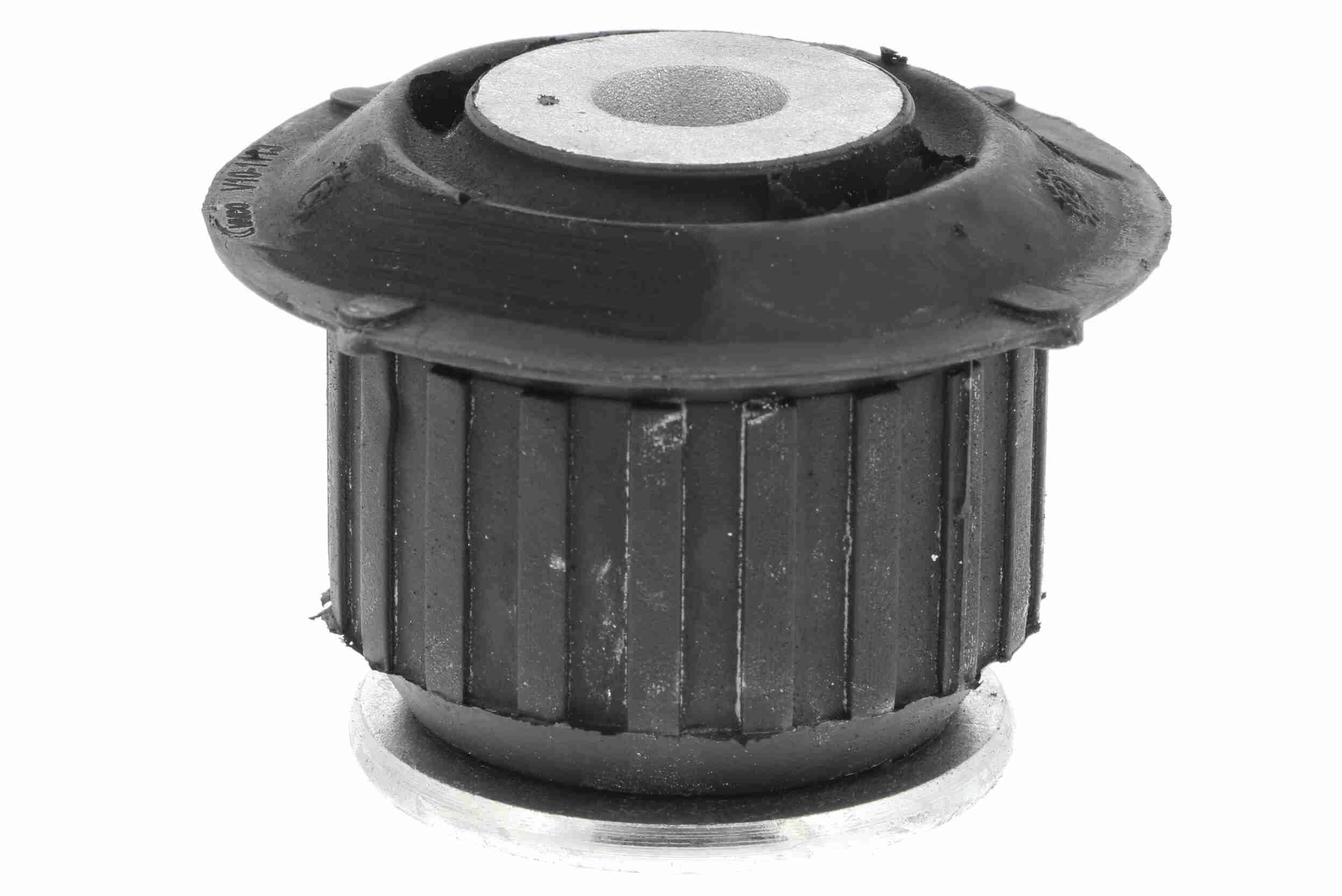 V10-1113