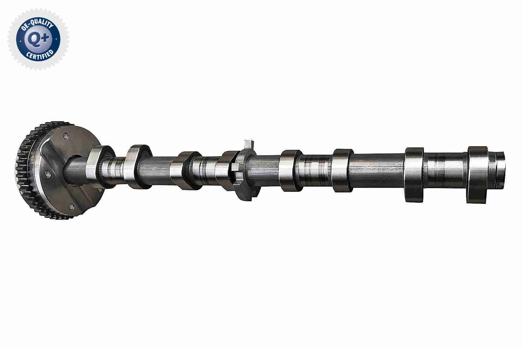 V10-5584