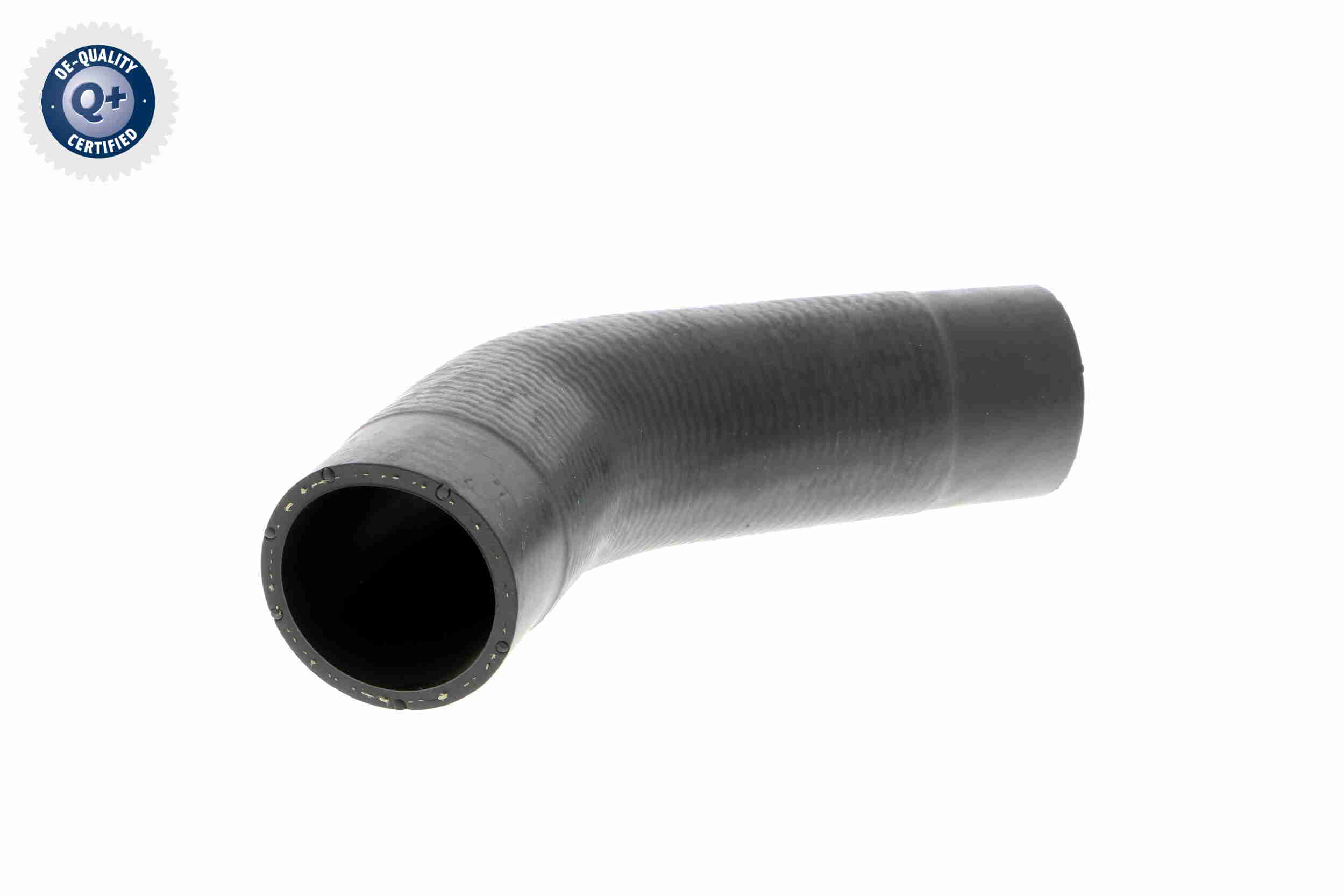 V10-2888