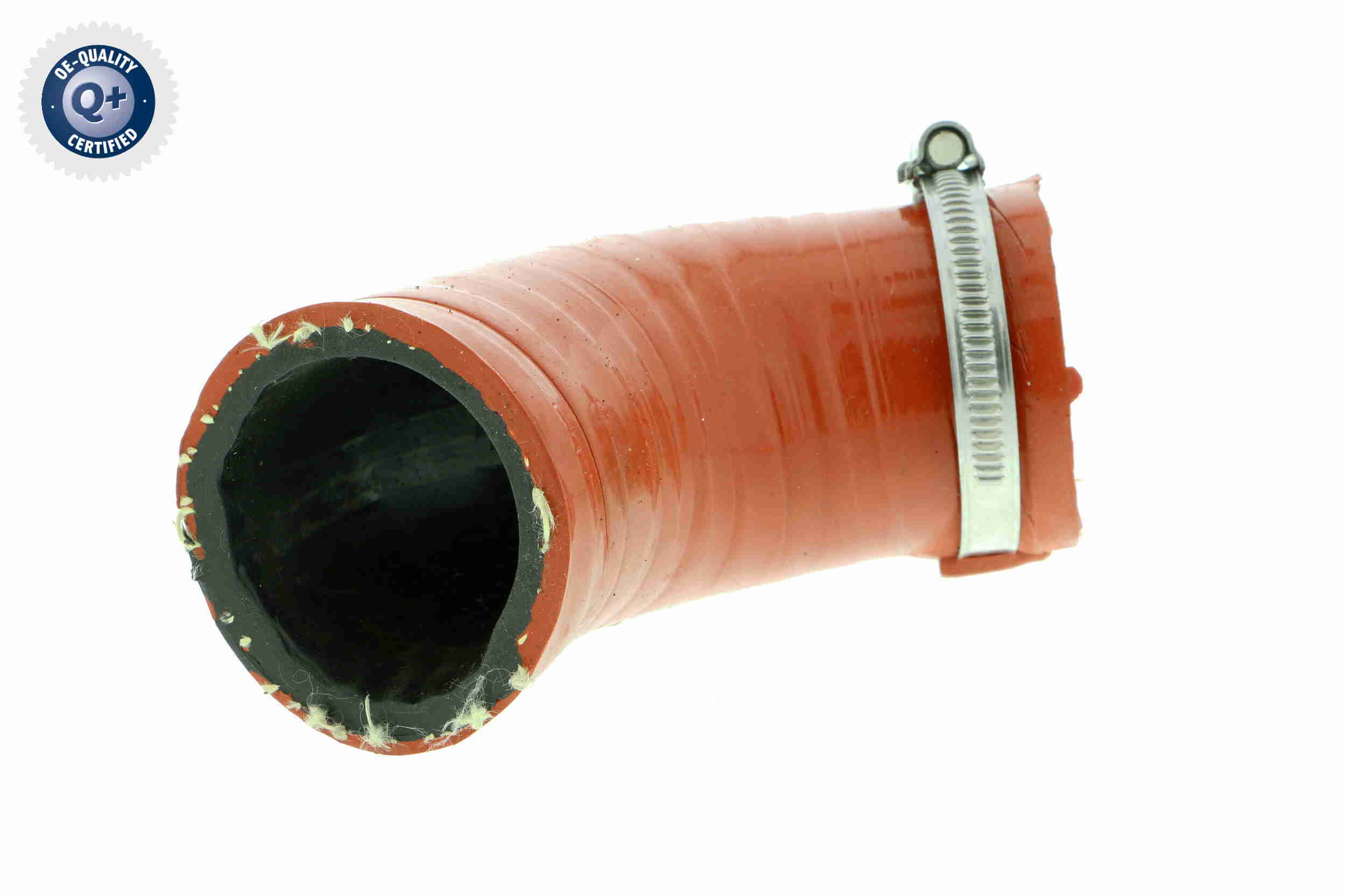 V10-2847