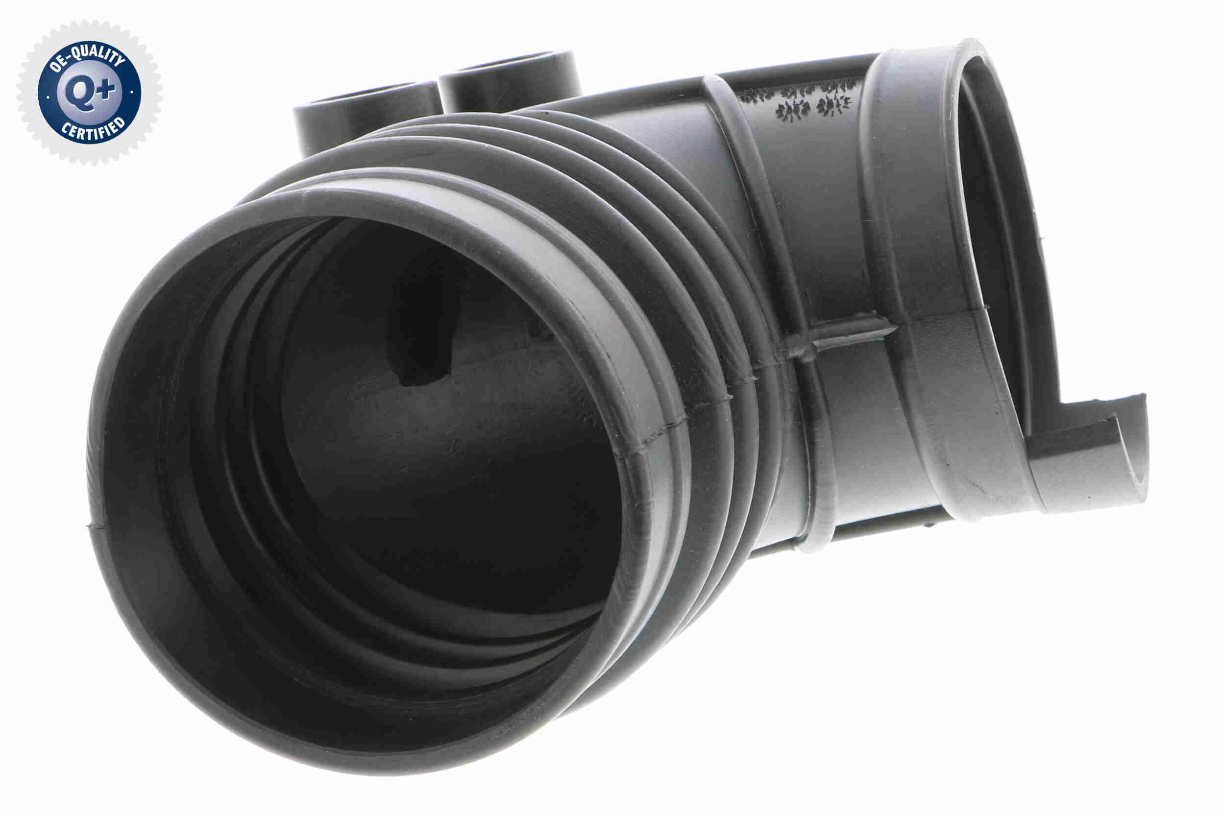 V20-2079