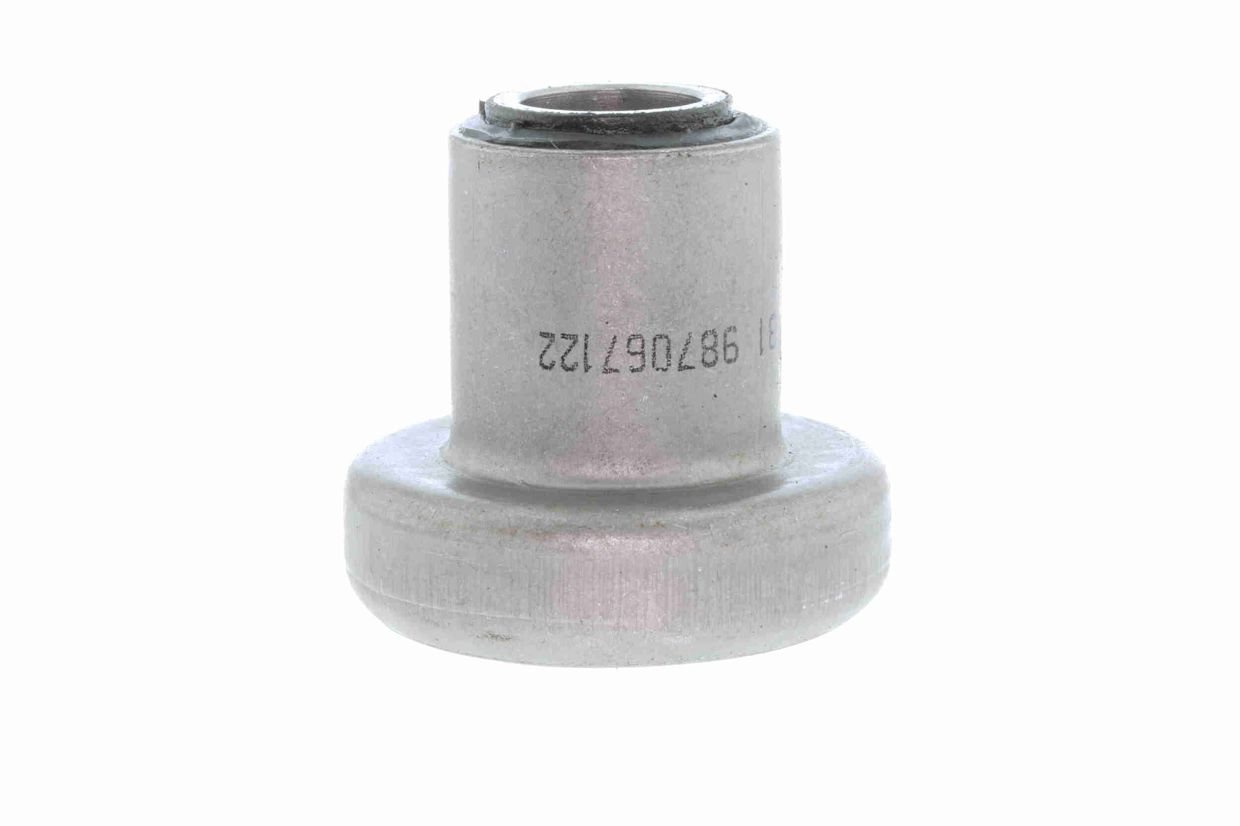 V10-1231