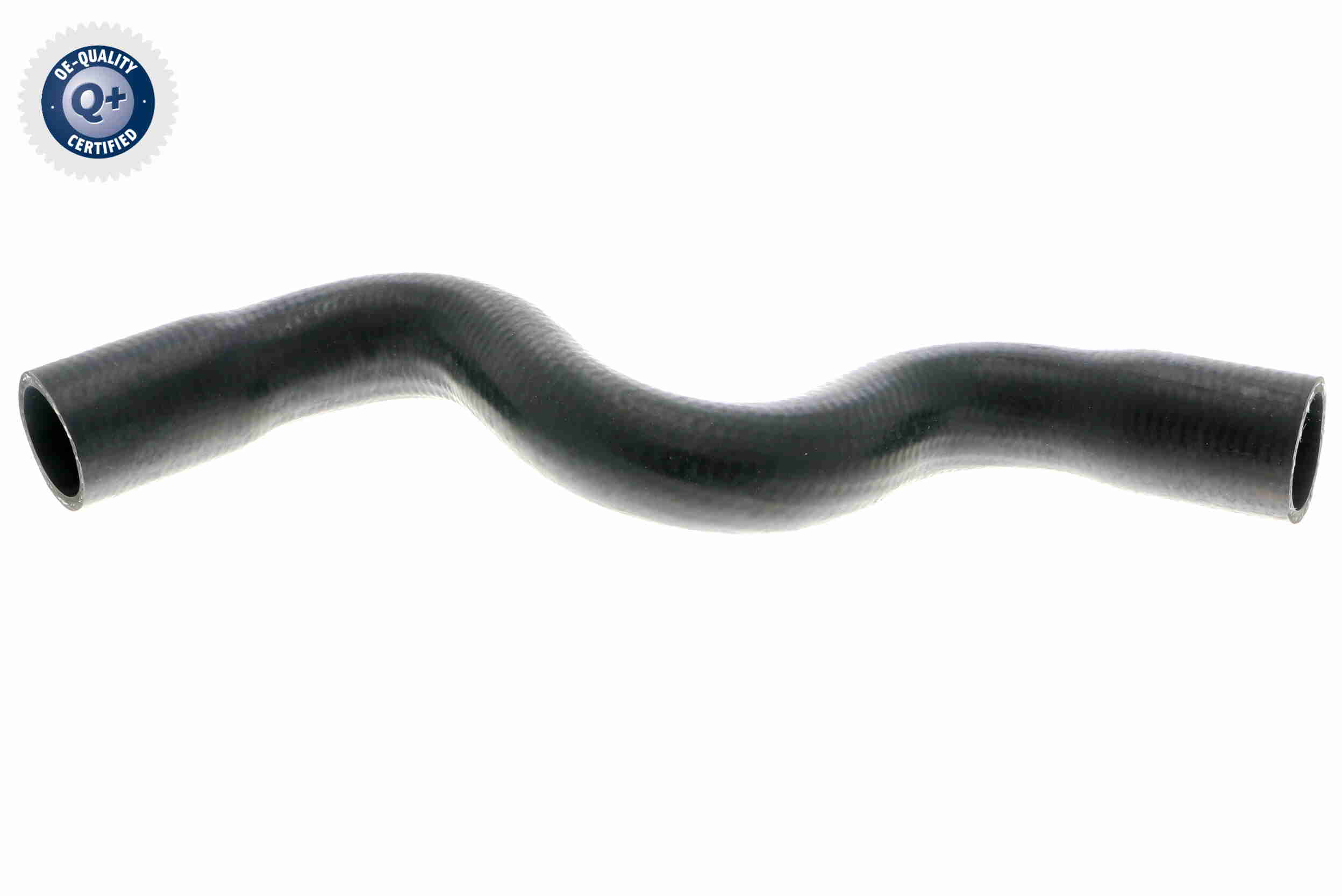 V21-0033