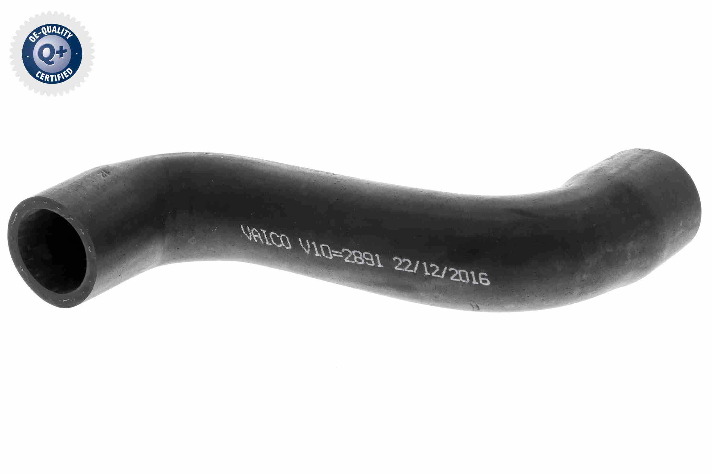 V10-2891
