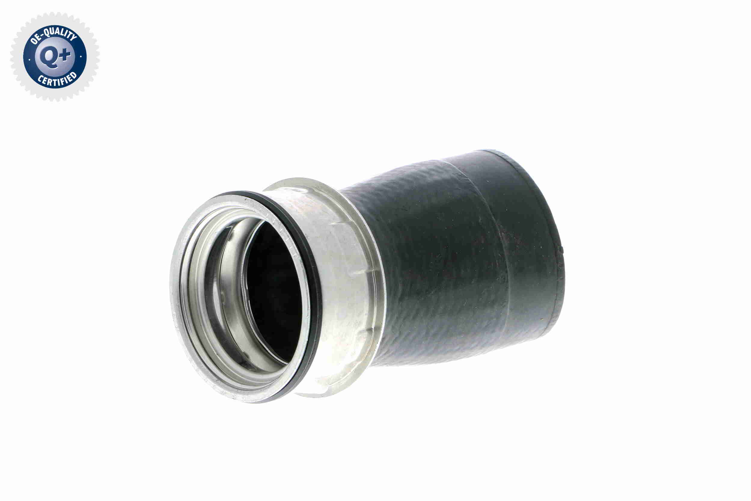 V10-2848