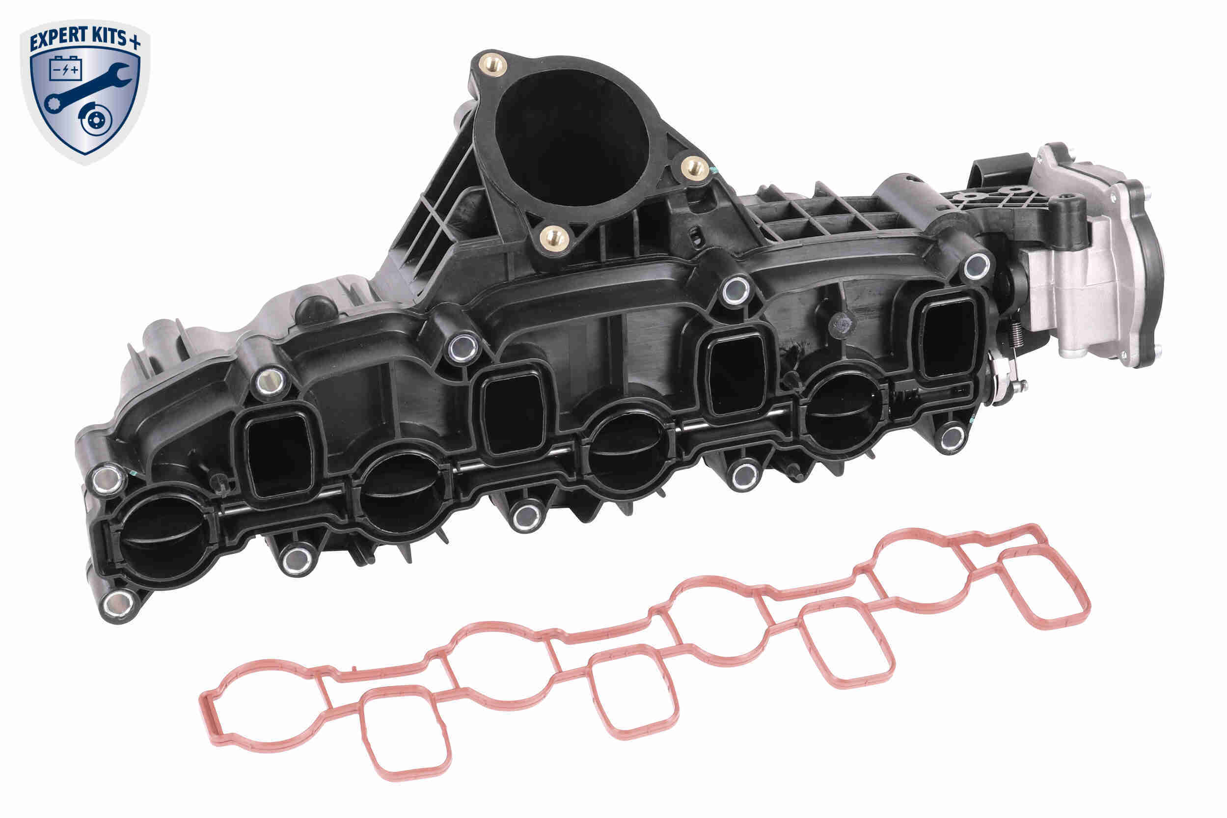V10-5269