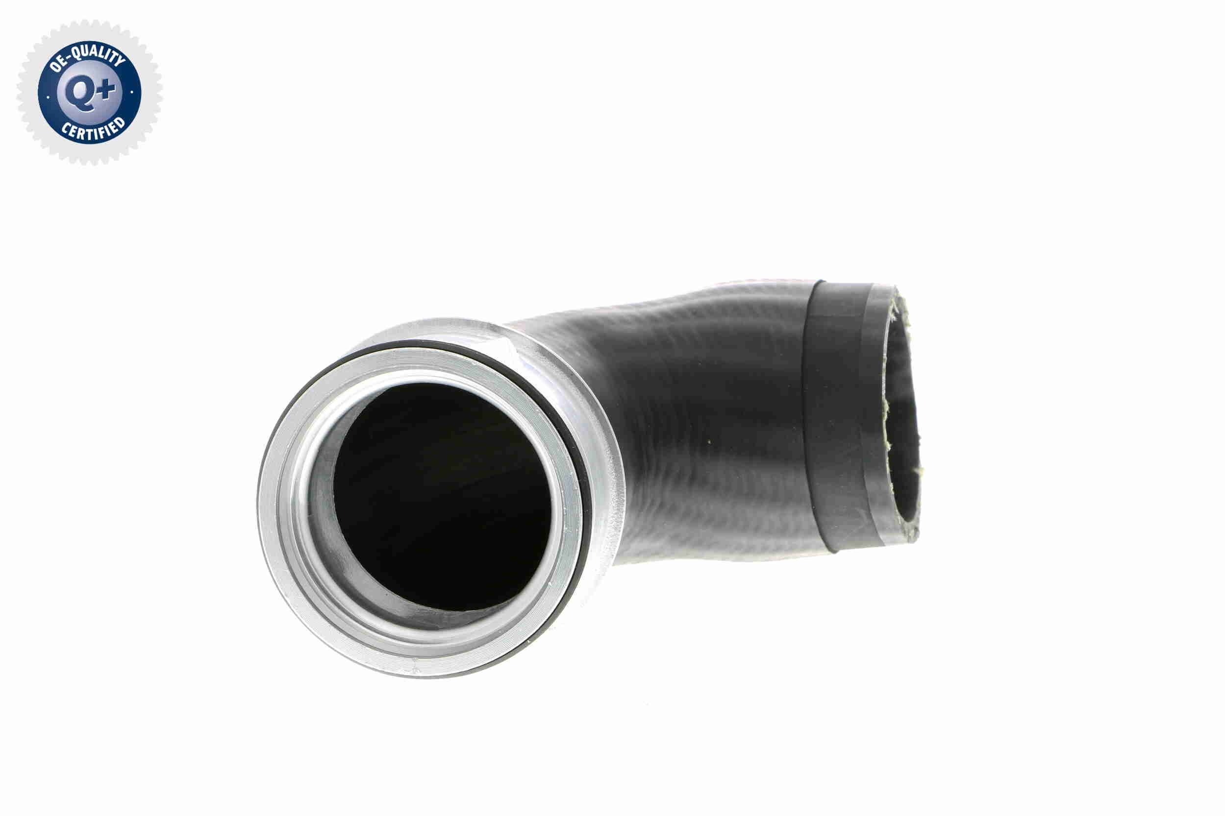 V10-2874