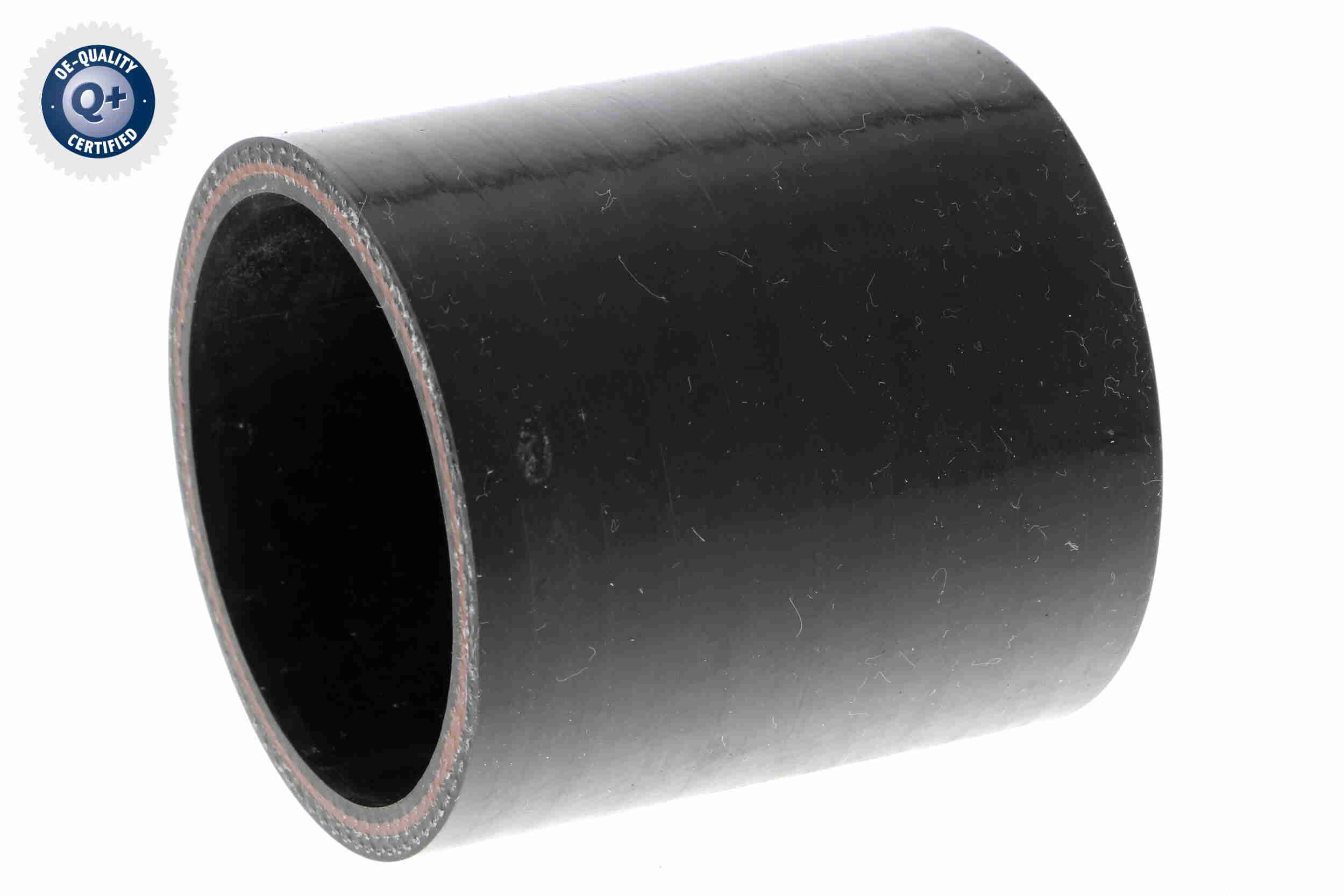 V25-1019