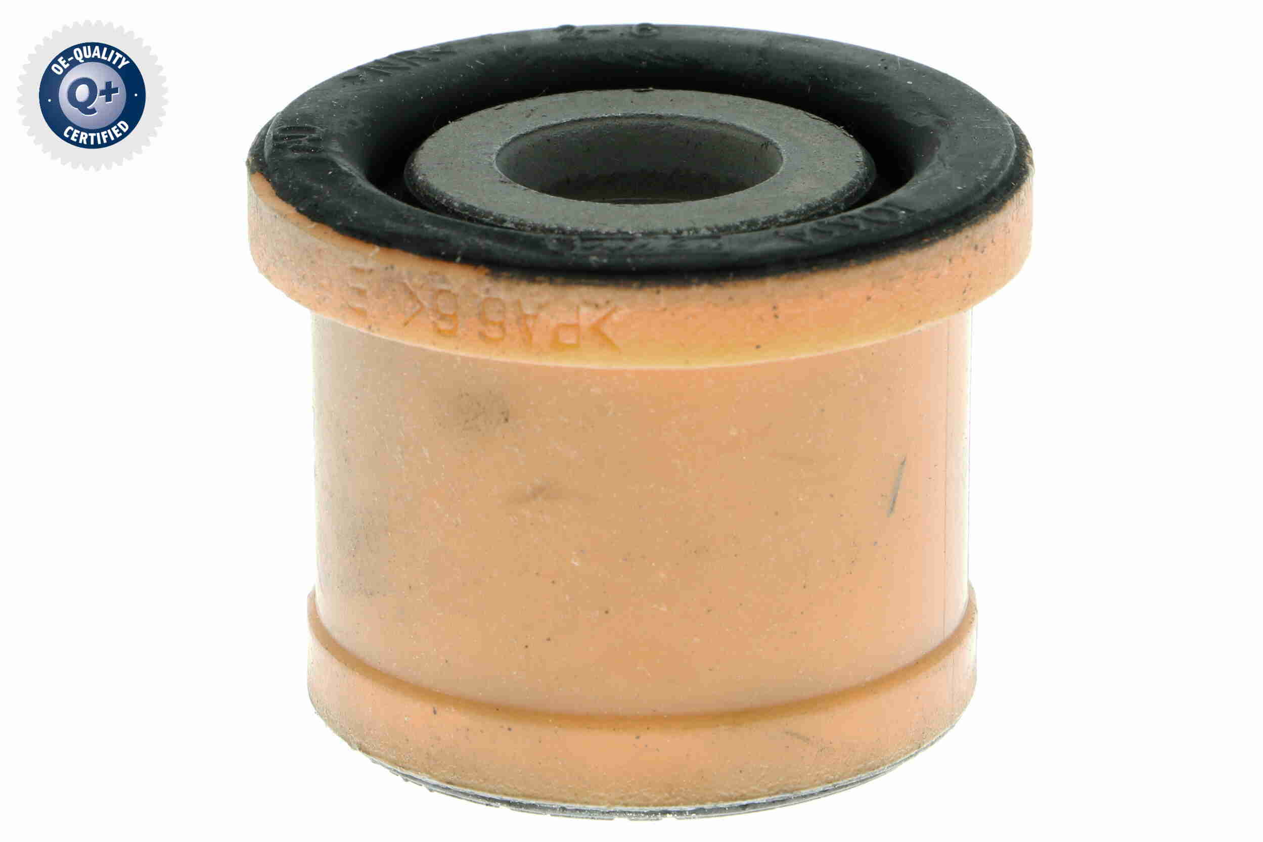 V25-1261