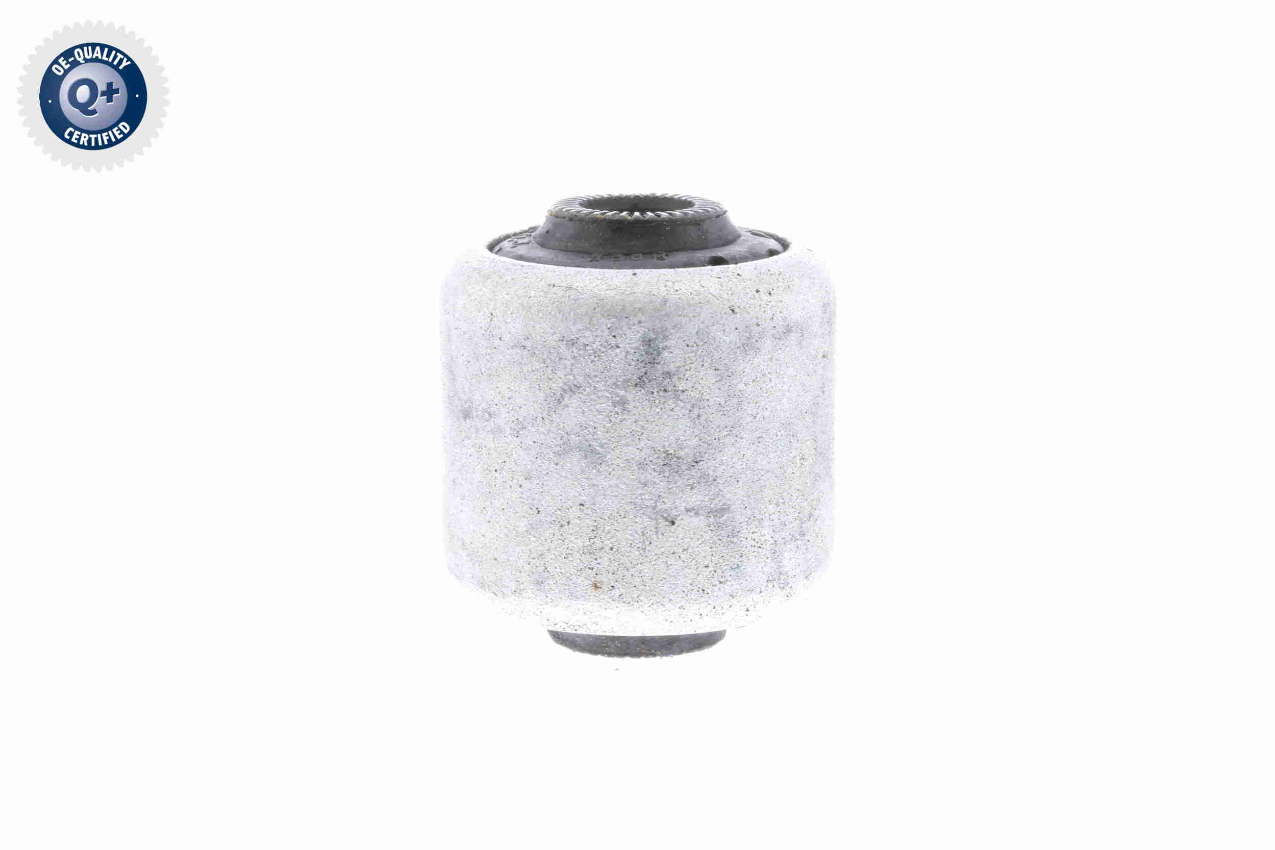 V20-1135