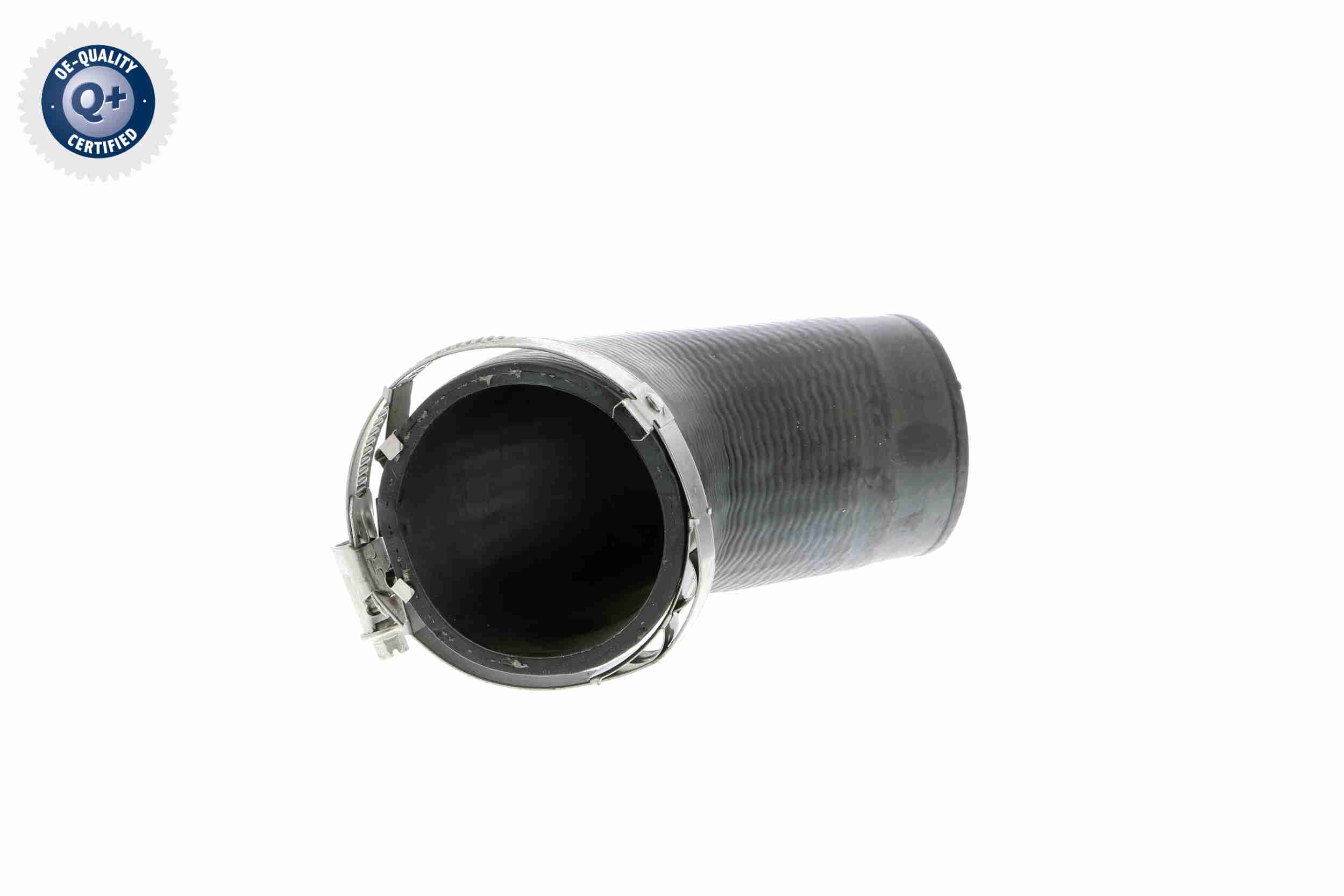 V10-2855