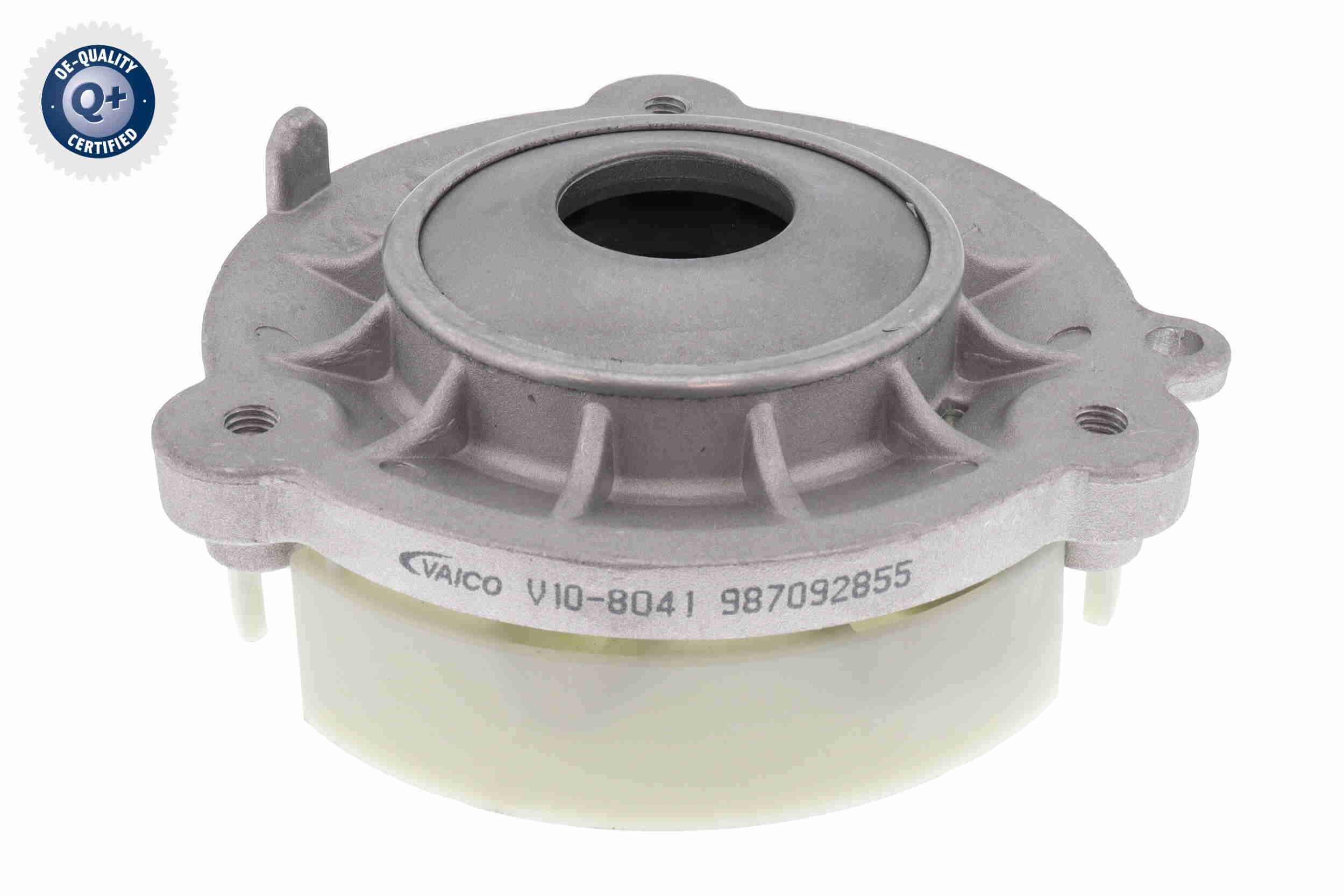 V10-8041