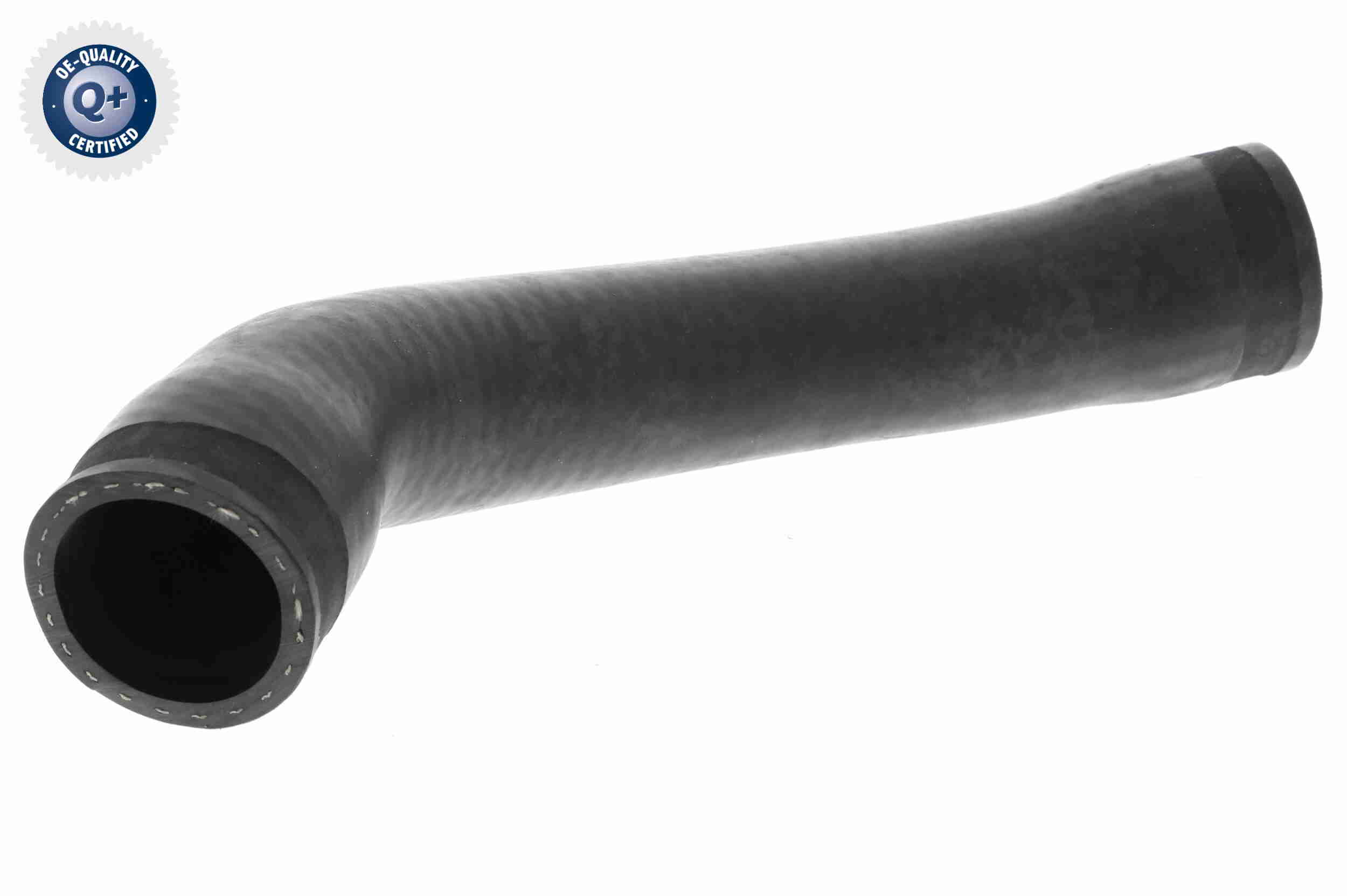 V10-3811