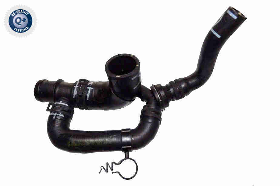 V10-7561