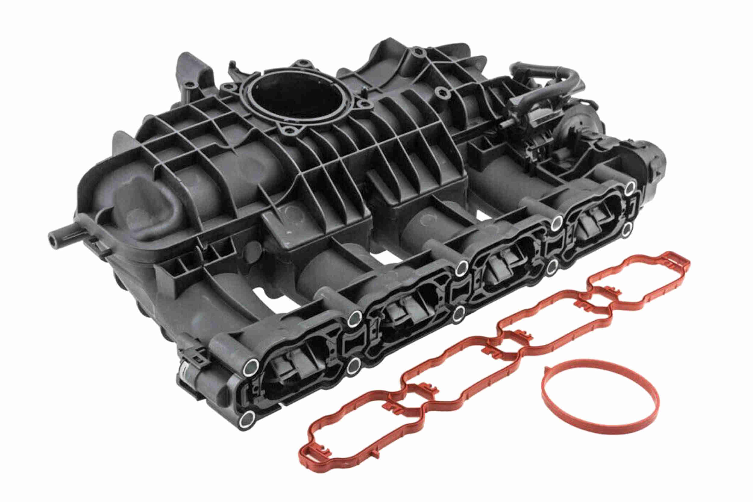 V10-8569