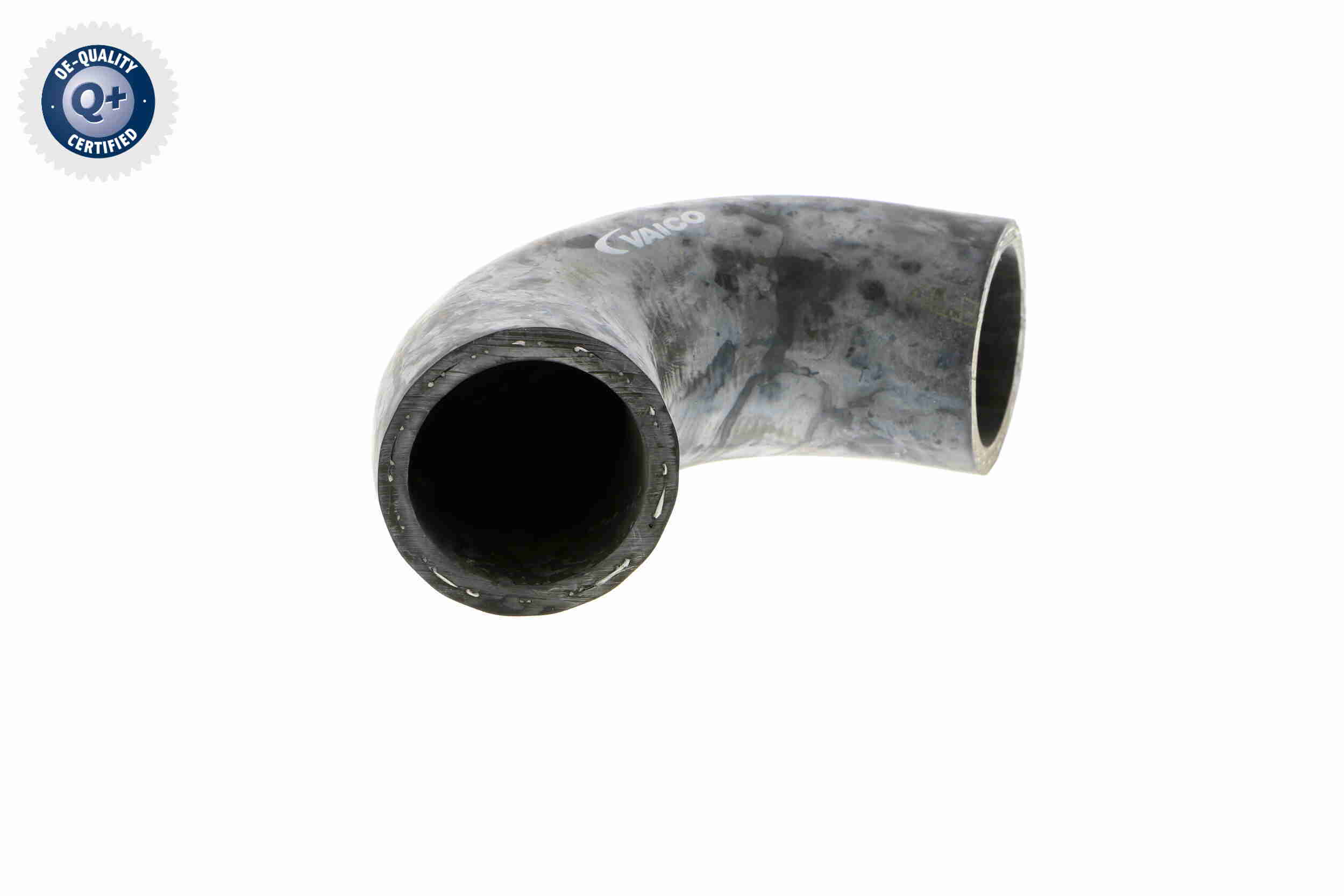 V20-0151