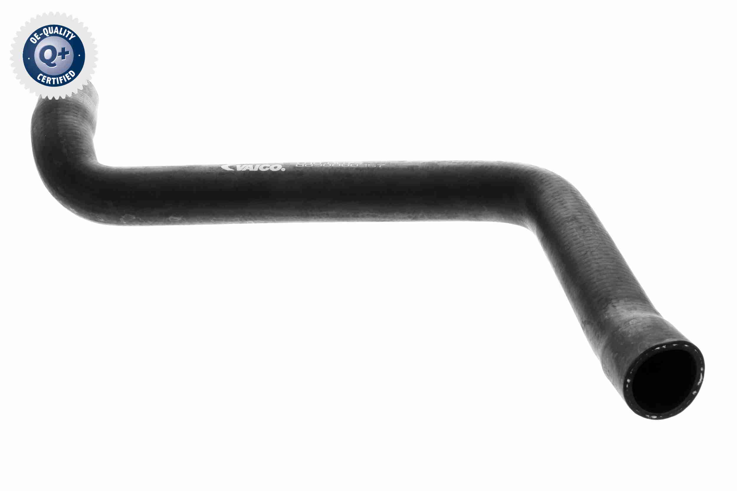 V10-0073