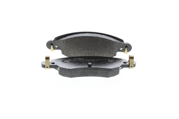 BPCI-1006