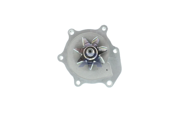 WPT-162V