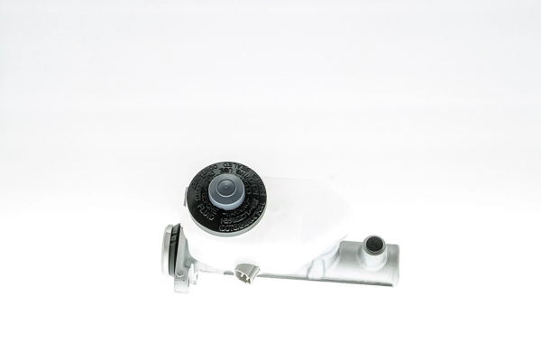 BMT-019