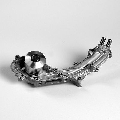 P7813