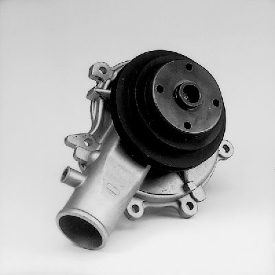 P315