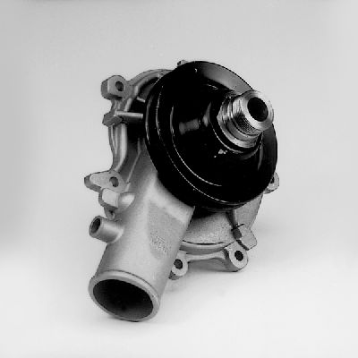 P336