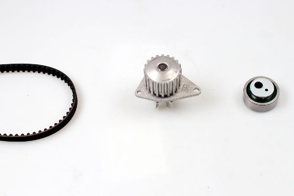 PK08131