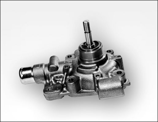 P1186