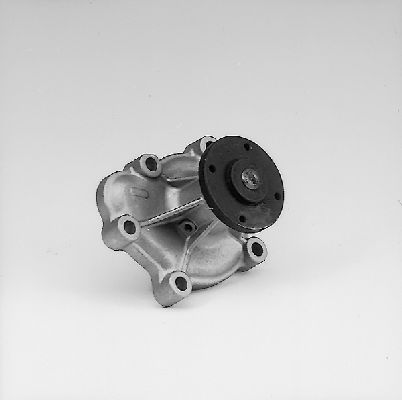 P313