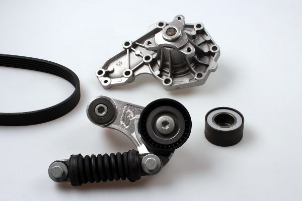 PK00541