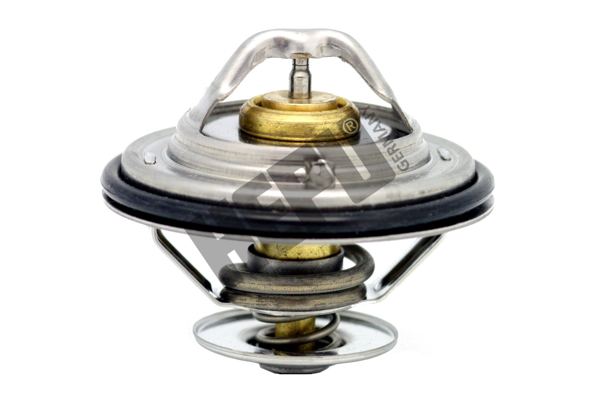 TM1313