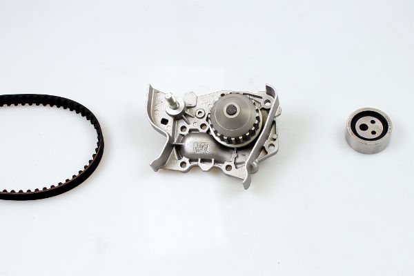 PK09310