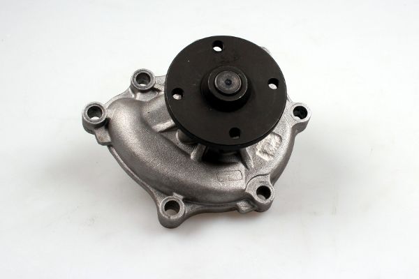 P7996