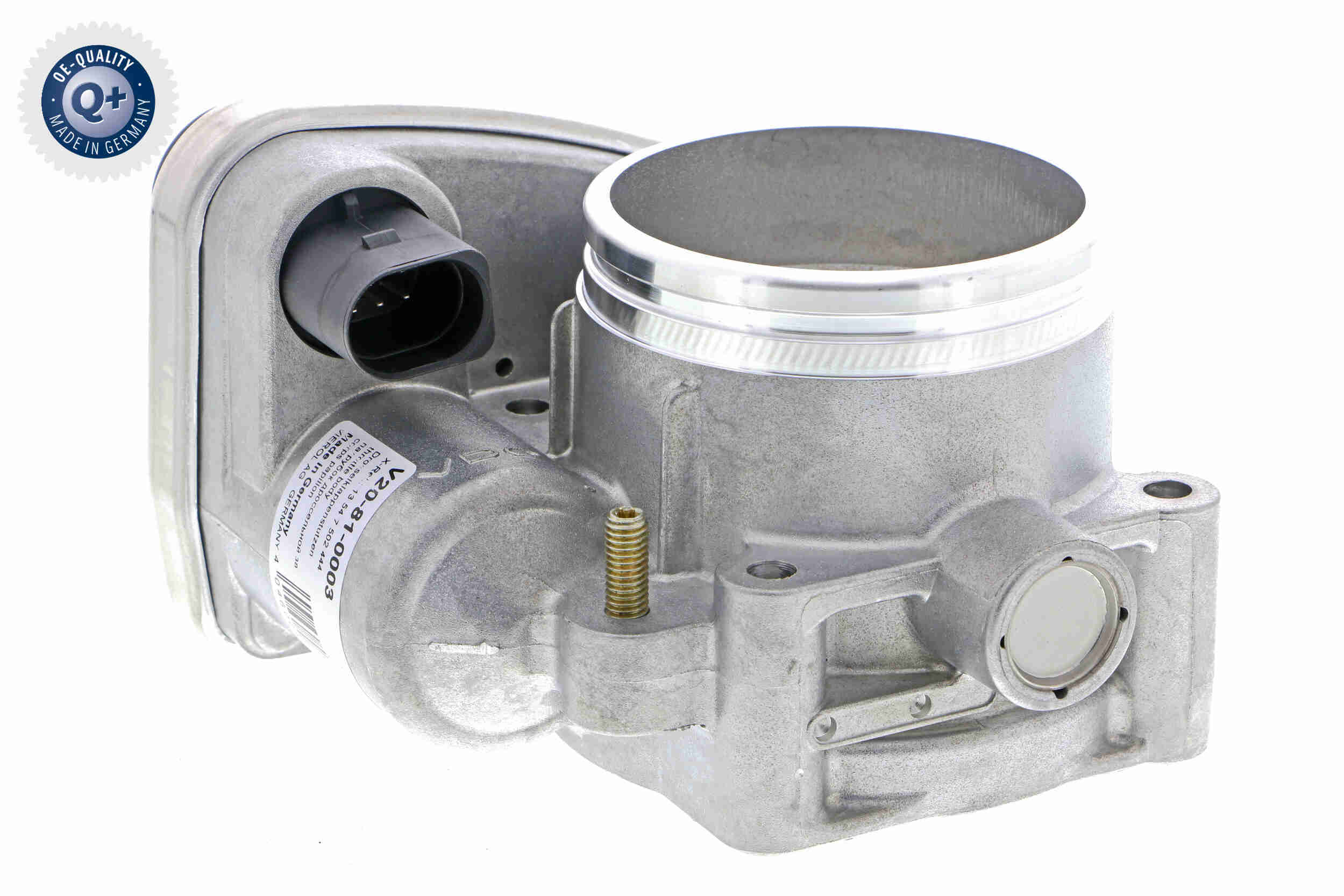 V20-81-0003